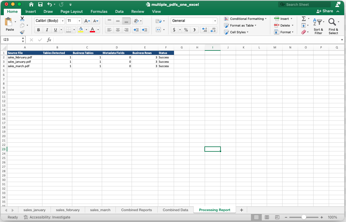 Generated Excel workbook Processing Report showing successful source-file processing