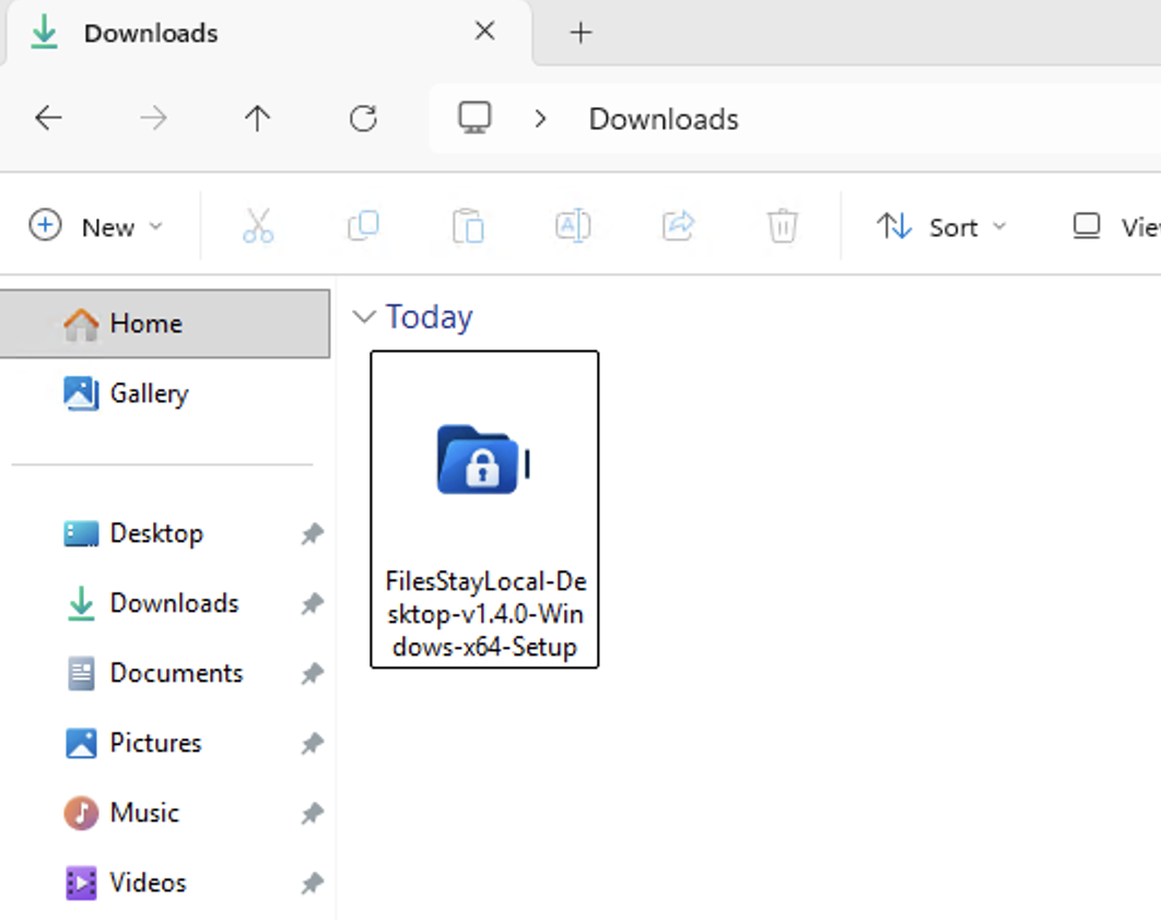 FilesStayLocal Windows installer downloaded to the Downloads folder