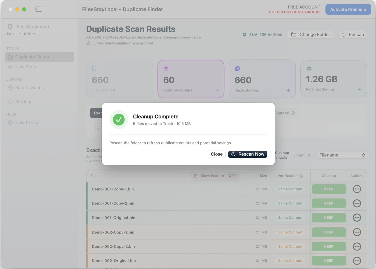 FilesStayLocal Duplicate Finder — Review cleanup